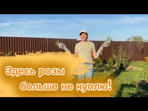 Видео: Этот питомник роз - разочарование сезона!