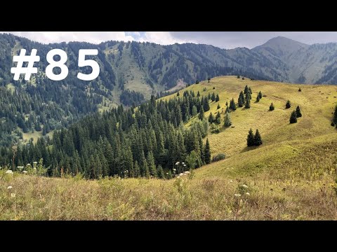 Видео: Ой Карагай Алматы | видео маршрута | горный курорт Лесная Сказка | Кабанье озеро | Красный яр