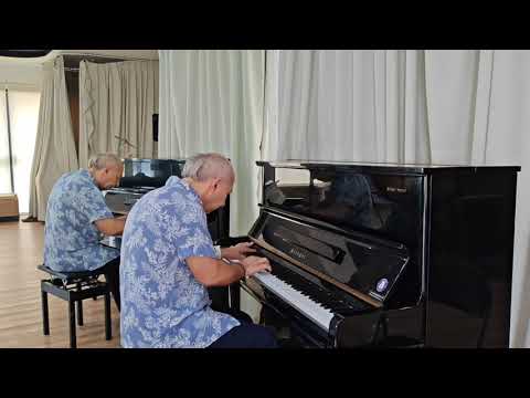 Видео: Музыкальная фантазия от Виктора Платкова номер 84