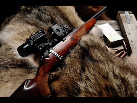 Видео: ✔ТОП-10 ЛУЧШИХ КАРАБИНОВ ДЛЯ ОХОТЫ! #Оружие #Охота #Карабин #Карабиндляохоты #охотничьеоружие