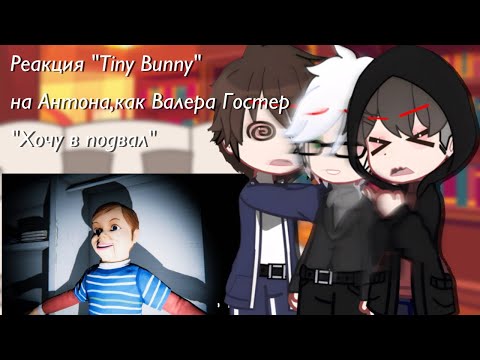 Видео: Реакция "Tiny Bunny" на Антона,как Валера Гостер "хочу в подвал" [1/2] чит.опис.