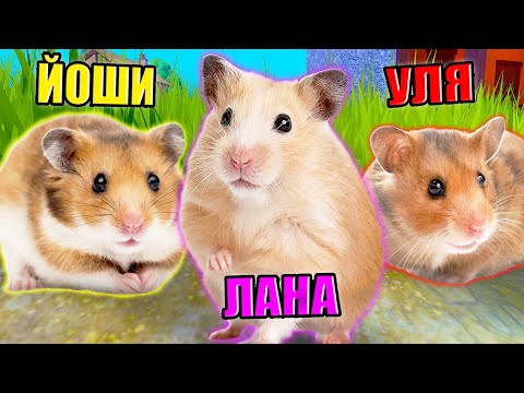 Видео: МЫ СТАЛИ ХОМЯКАМИ В РОБЛОКСЕ! Roblox Hamster Simulator