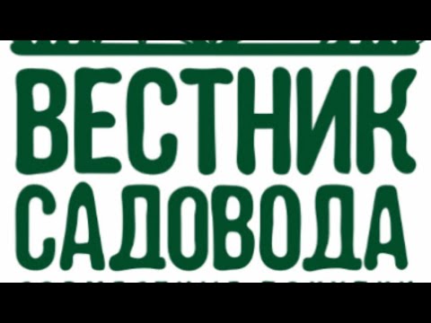 Видео: Вестник Садовода. Совместная закупка. ХОСТА. Весна-23#хоста#хобби#растения#волгоград #