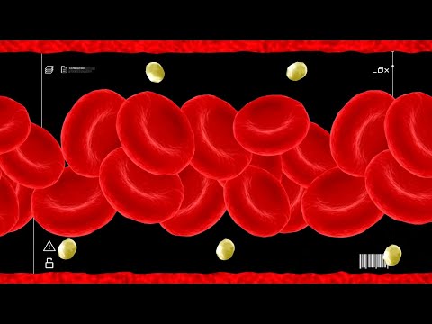 Видео: Сколько на самом деле групп крови? Как устроена и работает кровеносная система