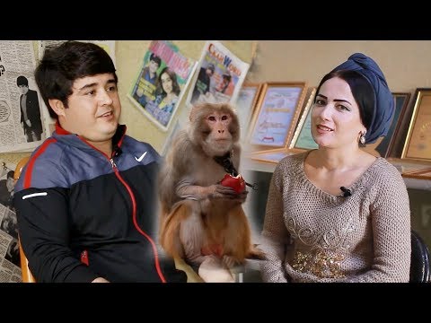 Видео: Мехмони Ситорахо - Наимчони Сайдали / Mehmoni Sitoraho - Naimjoni Saydali