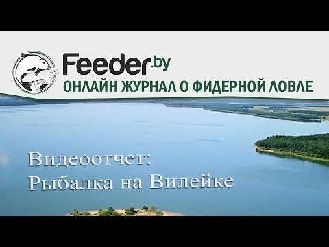 Видео: Видеоотчет ловля фидером на Вилейском водохранилище