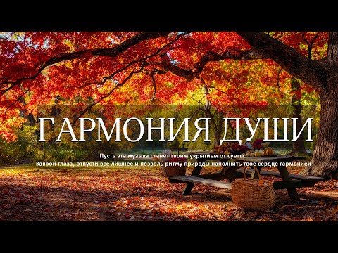 Видео: Самая красивая мелодия на свете!Осенняя целебная музыка |Расслабляющая музыка для снятия стресса🌿🍁