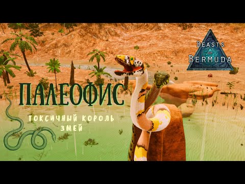 Видео: ПАЛЕОФИС |  Первый взгляд и выживание | Beasts of Bermuda
