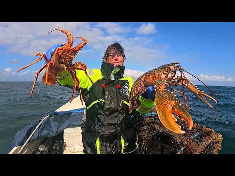 Видео: Отличная рыбалка и самая глубокая крабовая ловушка окупаются