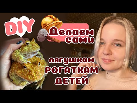 Видео: Как разводить чакских рогаток?