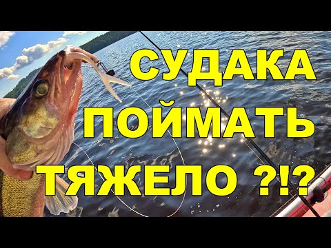 Видео: Ловля судака в Финляндии: термоклин, странные уловы и неожиданный финал