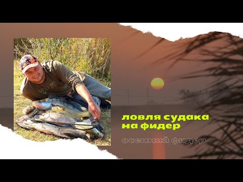 Видео: ЛОВЛЯ СУДАКА / НОЧНАЯ ЛОВЛЯ СУДАКА НА ФИДЕР !! ОСЕННИЙ ЖОР КИЛОГРАММОВОГО КАРАСЯ...