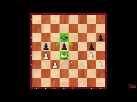 Видео: Пешечный эндшпиль. Урок 4. Запасные ходы, треугольник