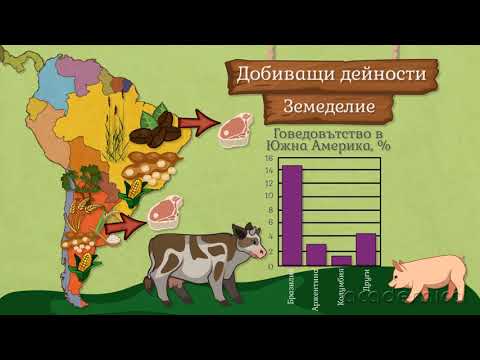 Видео: Стопанство на Южна Америка - География 6 клас | academico