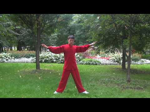 Видео: Комплекс цигун  Синг Шен Джуан (Xing Shen Zhuan). Мастер Ли Минь. ХэДао