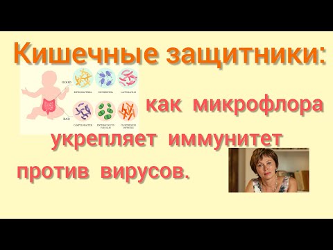 Видео: Кишечные защитники: как микрофлора укрепляет иммунитет против вирусов?