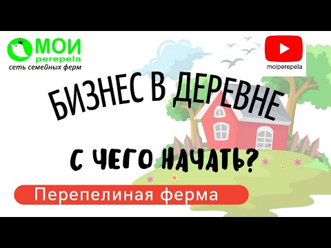 Видео: Перепелиная ферма. С чего начать? Бизнес в деревне