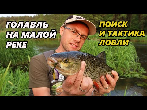 Видео: Поиск и тактика ловли голавля на малой реке