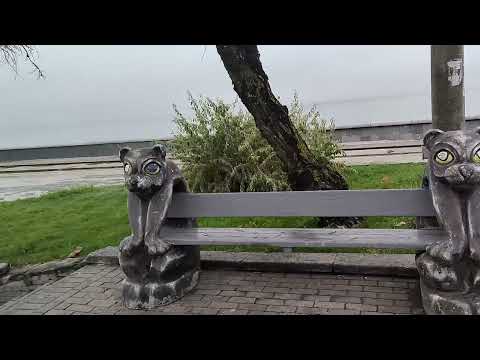 Видео: Осенние видео зарисовки Бердянск 13 ноября 2025г