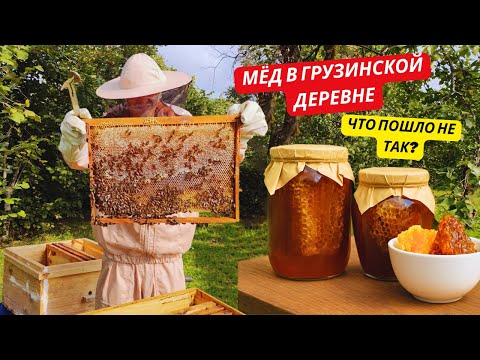 Видео: Наш ПЕРВЫЙ осенний МЁД в горах — СКОЛЬКО собрали?