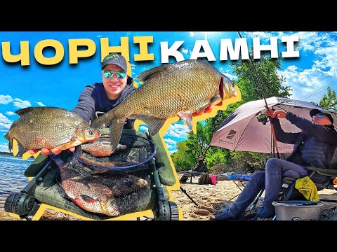 Видео: Горох + Чорні Камені = Рибальський РАЙ‼️ ЛЯЩ на ДНІПРІ‼️