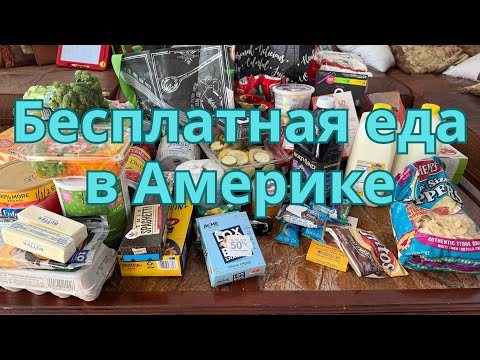 Видео: Бесплатная еда/ наш парк/ снова бесплатная еда 😁 так и живем