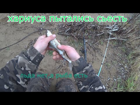 Видео: осенняя рыбалка на двух таежных речках в октябре