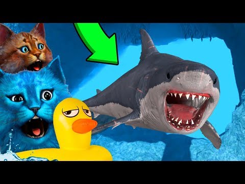 Видео: ТРОЛЛИНГ ГИГАНТСКОЙ АКУЛЫ МЕГАЛОДОН В РОБЛОКС SHARKBITE IN ROBLOX КОТЁНОК ЛАЙК И КОТИК ИГРОМАН