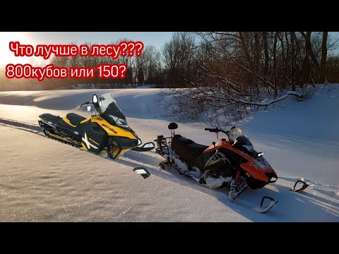 Видео: Стелс Капитан в сравнении с горным снегоходом BRP в лесу.