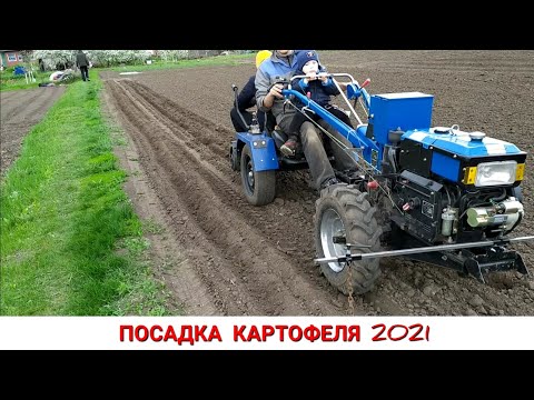 Видео: САДИМ КАРТОФЕЛЬ С УДОВОЛЬСТВИЕМ САМОДЕЛЬНОЙ КАРТОФЕЛЕСАЖАЛКОЙ СЕЗОН 2021 ) PLANTING POTATO 2021