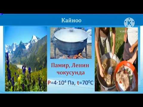 Видео: Кайноо. Абанын нымдуулугу