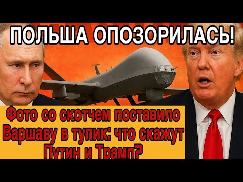 Видео: «Дрон на скотче: как шутка превратилась в символ креатива и смелости»