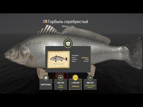 Видео: 📢СТРИМ РР4🔥ДОБРОЕ УТРО НА НОРВЕЖСКОМ МОРЕ🔥РУССКАЯ РЫБАЛКА 4