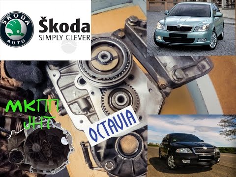 Видео: Как разобрать кпп шкода Skoda, Volkswagen, Audi .