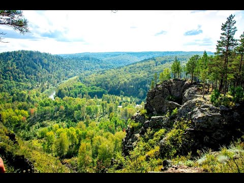 Видео: Таежный край. Природа Новосибирской области.