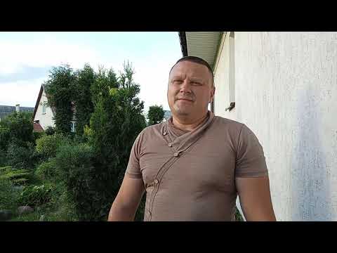 Видео: Прививка туи даники на штамб, влияние подвоя на скорость роста растения.