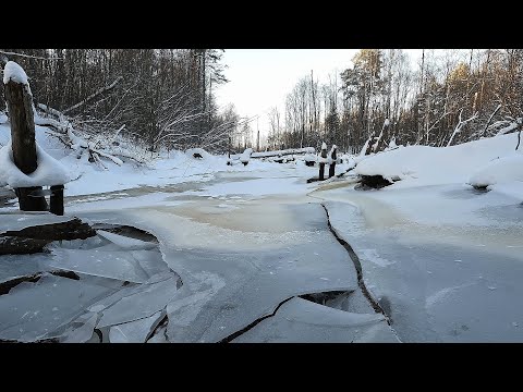 Видео: Устроил подкоп под Бобровой плотиной и вот что из этого вышло