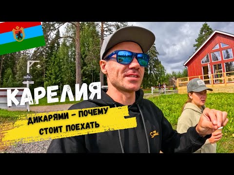 Видео: Карелия ДИКАРЯМИ за 5 дней! ТОП мест. Республика - ЛУЧШАЯ для дикого отдыха. На автодроме с палаткой