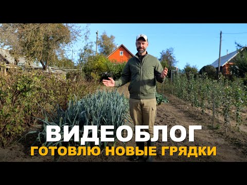 Видео: ВИДЕОБЛОГ: ПОДГОТОВКА ГРЯДОК К ПОСАДКЕ И ДРУГИЕ РАБОТЫ. Работы в саду и огороде в осенний период.