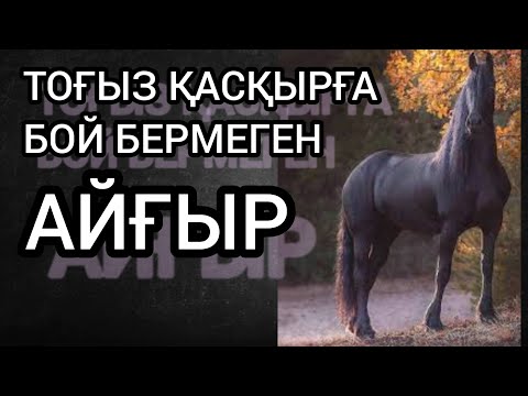 Видео: Тоғыз қасқырға бой бермеген Айғыр.#ғибраттыоқиғалар