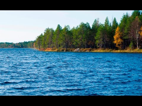 Видео: Десятый день маршрута по Карелии. Добрались в забытую деревню.