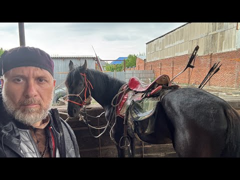 Видео: Поход в окружение Волков на Лошадях.