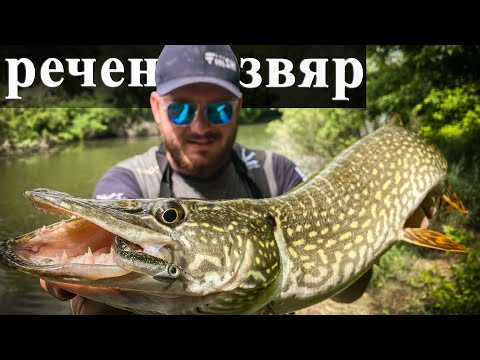 Видео: От язовир на река. Риболов на щука и бяла риба