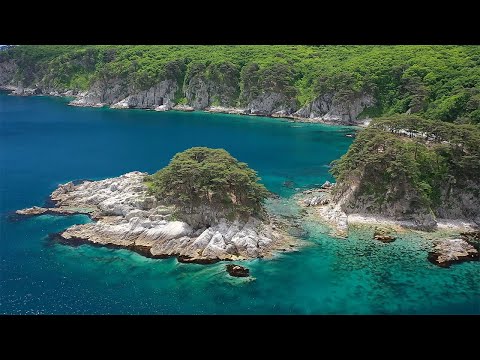 Видео: Юг Приморского края - чистейшее море и нереальные красоты полуострова Гамова с квадрокоптера - 4K