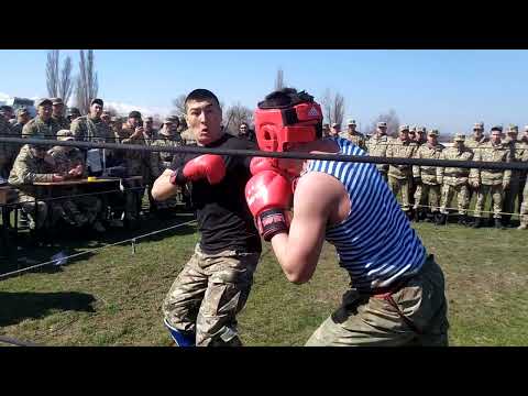 Видео: зелёный берет