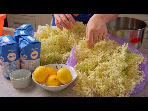 Видео: Сироп из бузины - 100% натуральный | Без добавок и консервантов!