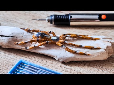Видео: Вырежьте паука из дерева с помощью граверной ручки Culiau Customizer [РЕЗЬБА ПО ДЕРЕВУ]