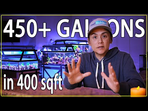 Видео: Коралловая ферма в гостиной кондоминиума | SPS | Acropora | Reef Tank