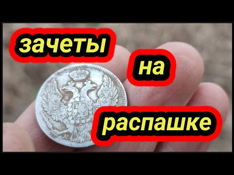 Видео: ништяки на распашке