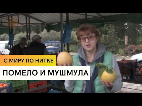 Видео: Помело и мушмула / С миру по нитке / 5 серия